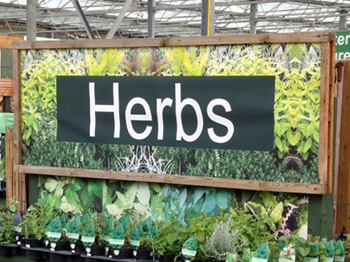 Banner attached to garden trellis