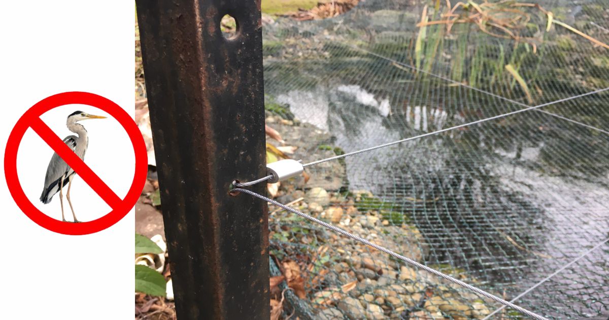 Taut wires work as an effective heron deterrent Sign Holders by Green