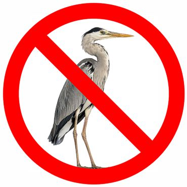 No herons permitted here