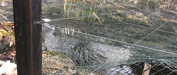 Wires across a pond to deter herons
